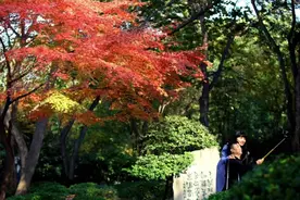 「吸睛」唐·大慈恩寺遗址公园美cry了这个秋图片