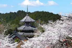 日本，我来过就上瘾了图片