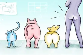 人类的屁股有多奇怪？它又是如何成为吸引力的一部分？图片