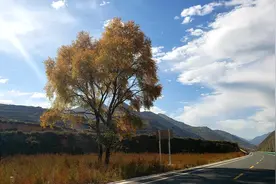 秦岭往事之翻越迭山洛克之路，5000米的秦岭最高峰图片
