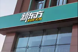 “躺平”后的新东方如何调头图片