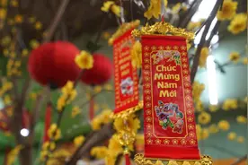 越南人学历史的无奈：绝大多数和中国有关，古籍上写的全是汉字图片