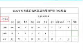 招231人！石家庄长安区教师招聘正在报名中！我的专业能报吗图片
