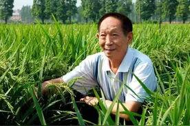 袁隆平：“中国粮食不够吃，农民不种就麻烦。”图片