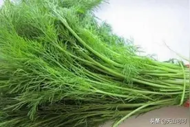 用茴香做肉馅，最忌讳加什么调味品图片