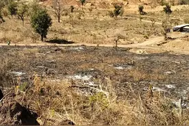 老公在非洲的日常生活图片