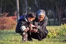 “我妈在，我才敢生娃”!有一种爱叫姥姥带娃图片