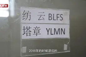 我们为上海退役导盲犬拍了组“肖像照”，帮它们找个家图片