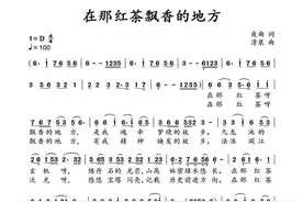 原创歌曲《在那红茶飘香的地方》图片