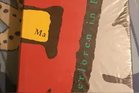 1996年在德国出小说，版税让你没商量图片