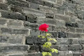 曾经的记者，永远的记着图片