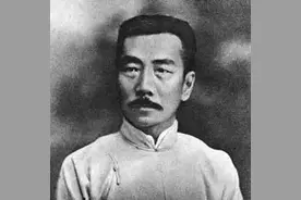 中国当代文学的危机与希望图片