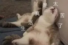 表情包：看我无敌风火轮手势图片