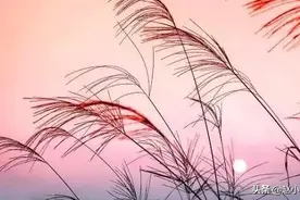 《写给黄淮》你是我患得患失的梦 我是你可有可无的人图片