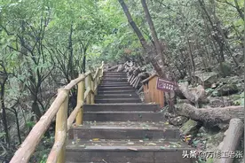 9月免费景区老界岭，两个人需要多少钱我给你们算一下图片