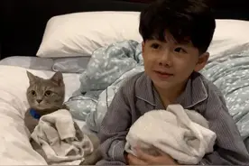 千万别把猫和熊孩子一起养，否则…噗哈哈哈哈图片
