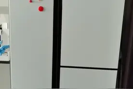 换了三台冰箱后来说说，为什么冰箱要用十字对开门，而不选对开门图片
