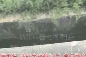 80年代浙江就有这么先进的公厕了？能养鱼、能种菜，煤气罐都省了视频封面