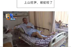 浙江男子上山挖笋遇到“竹叶青“，右腿差点保不住了图片