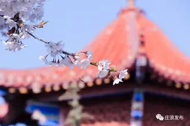 【庄浪文旅】在庄浪，与四月赴一场约会图片