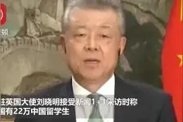 国人一致反对留学生包机回国，英国留学生家长痛骂国人仇富心态图片
