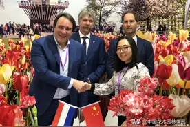 一场五彩斑斓的朱顶兰盛宴 今天在广州华南植物园绚丽绽放图片