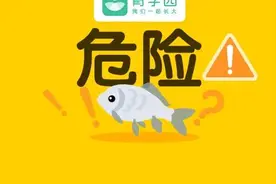 吃了一口鱼，娃进了抢救室！鱼肉虽好，但这4大部位一定不能吃图片