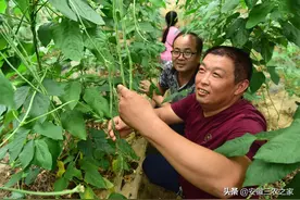 没钱还想返乡创业？这几点都是我多年的经验，今天分享给大家图片