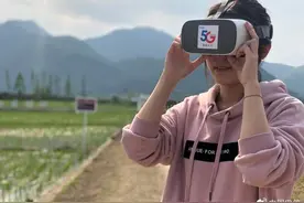 黑科技来了！一起看电信5G稻田长啥样？图片