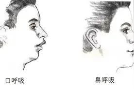研究表明：习惯用嘴呼吸得不到更多氧气，只会让人变丑图片