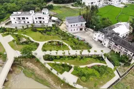 从一根牛大力到一个南药产业图片