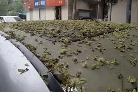 来自脚下的拷问：走路黏黏黏！到底是啥黏住了我的鞋？图片