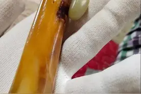 别人家的宠物都能把文玩盘包浆了，你家的呢？图片