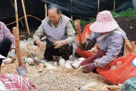 致敬！全国移民管理机构“爱警母亲”刘左莲图片