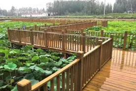 鲁西北古盘河，独具特色历史文化，黄河故道的永久回忆图片