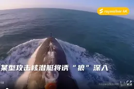 南海“猎杀海狼”视频，片中制作者得出的观点，还有待时间来证实图片