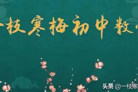 七年级数学下册测试卷！图片