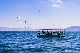 一个人的云南之旅，住着40元的旅店，却被女司机合伙讹钱，我懵了图片