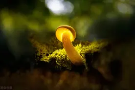 数学与人生图片