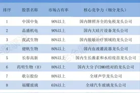 未来最有望翻数倍的十五大垄断性公司全面解读下部分图片