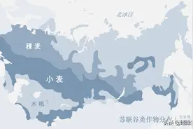 被制裁后，俄罗斯小麦出口世界第一图片