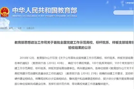 北京城市学院信息学部党支部顺利通过全国党建“样板支部”验收图片