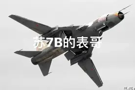 《浅谈苏7战斗机的特点》图片