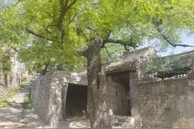 太行山里的小山村有座张家大院，走进大院，目睹一下凝固的历史图片
