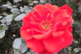 花花世界（1）图片