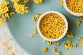 植库‖秋天是什么味道？一定是桂花味图片