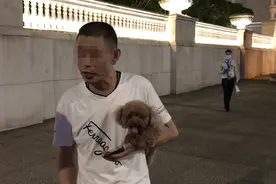 狗主人被拳打脚踢，只因遛狗时对方要抱狗，狗狗：长得可爱怪我咯图片
