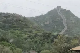 八达岭野生动物园里的动物，个个都是拼演技的神演员图片