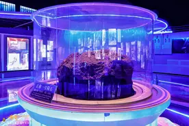 一处满足你童年探索星空梦想的地方，星星就在眼前，触手可及图片