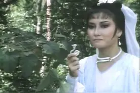 唐经天和冰川天女，武侠小说中的门当户对……图片